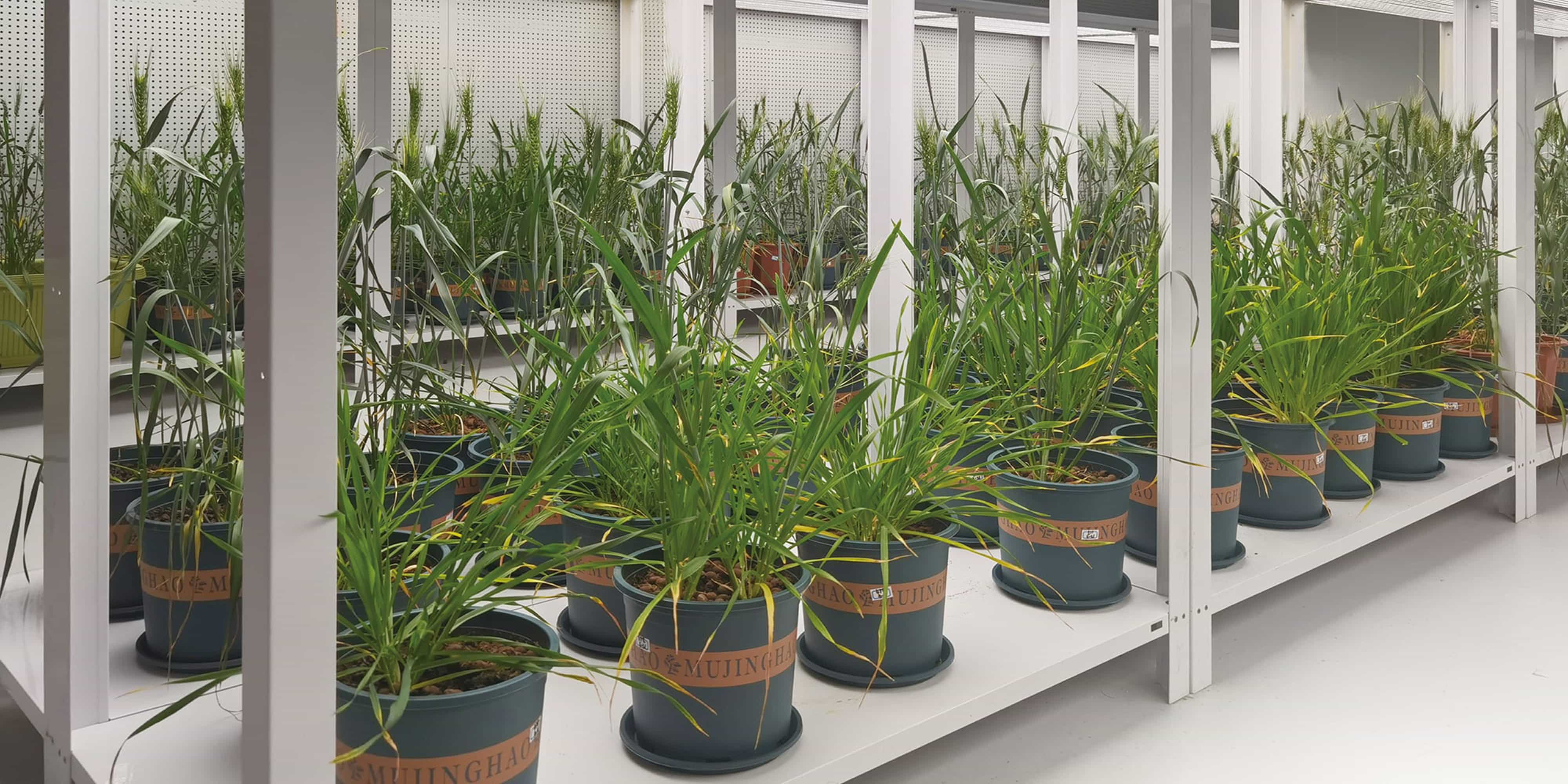 AC 智能人工气候室