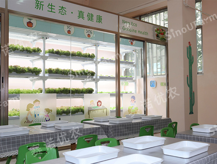 UC 室内种植益教课堂 UC 室内种植益教课堂