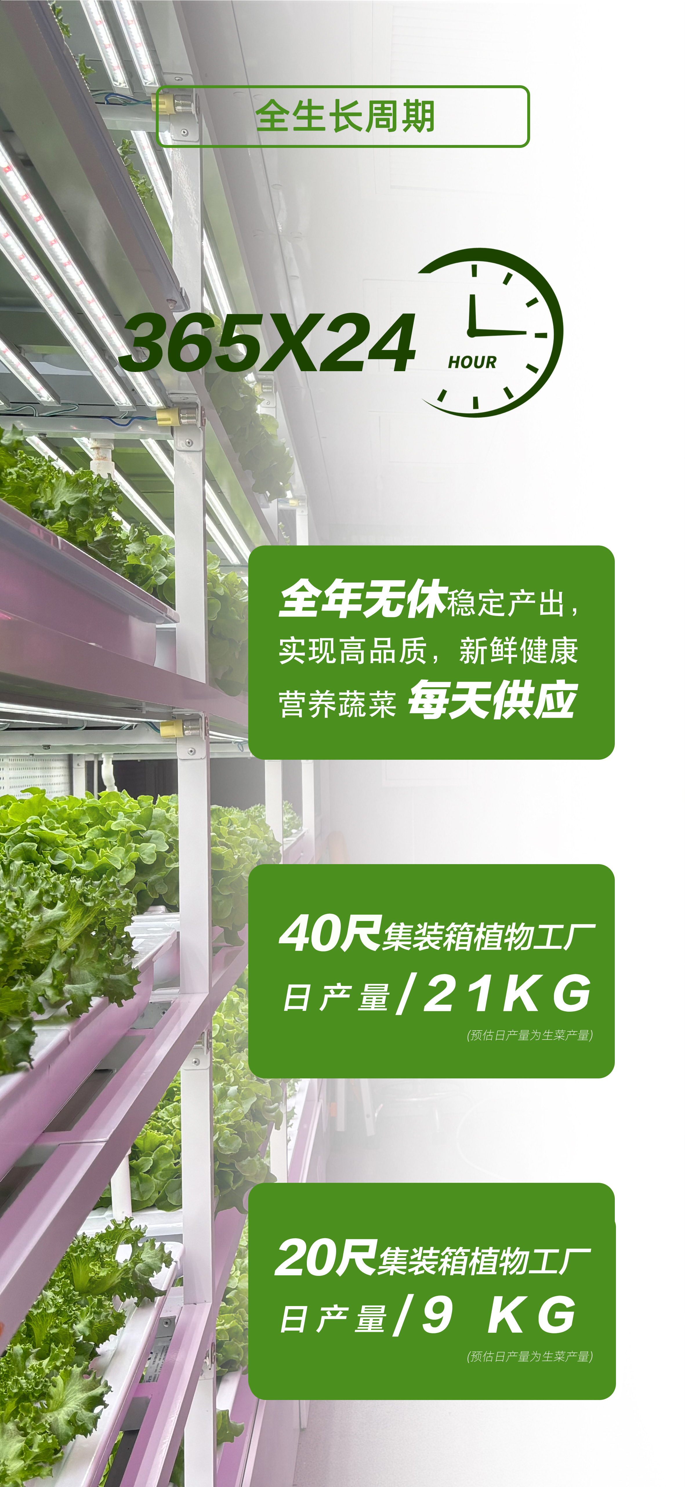 集装箱产品详情图-_04.jpg