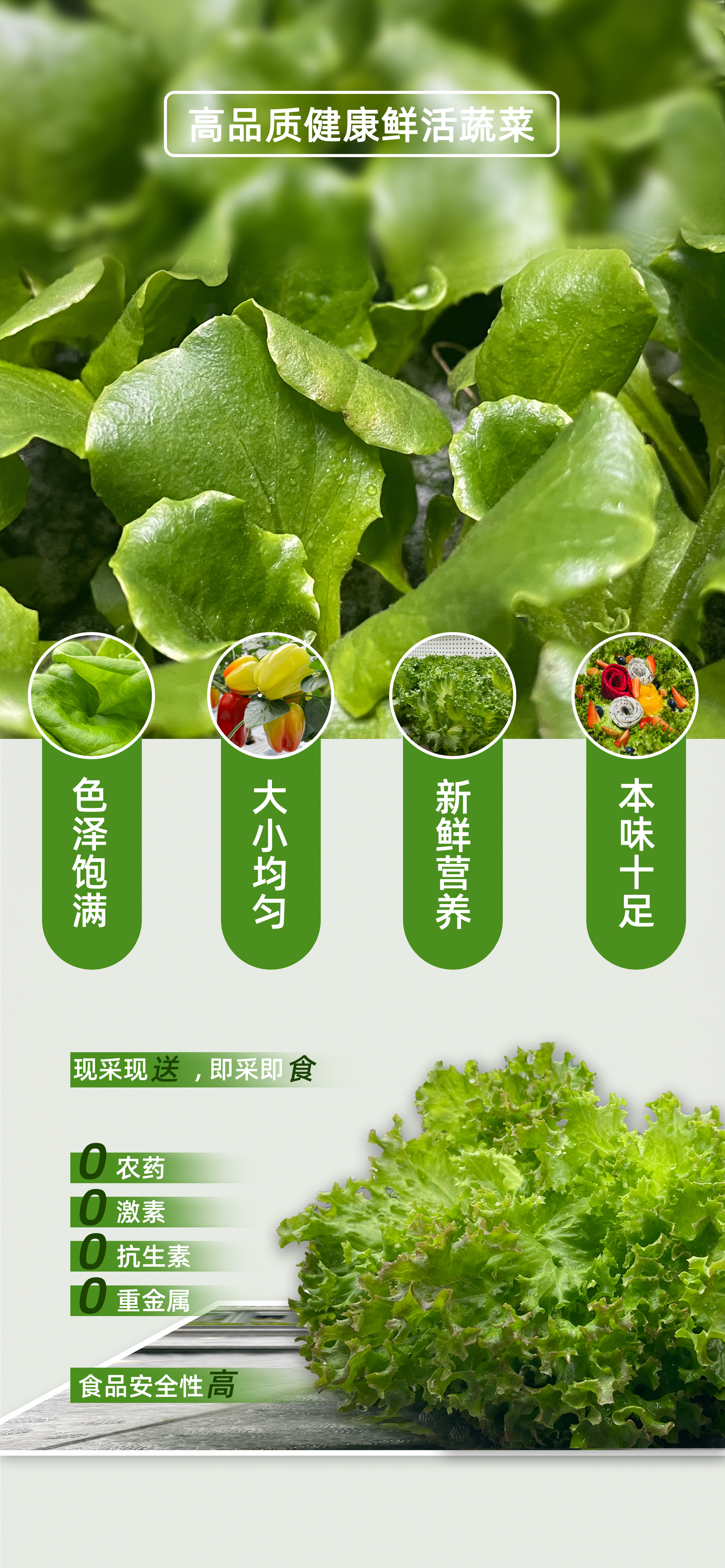 集装箱产品详情图-_01.jpg