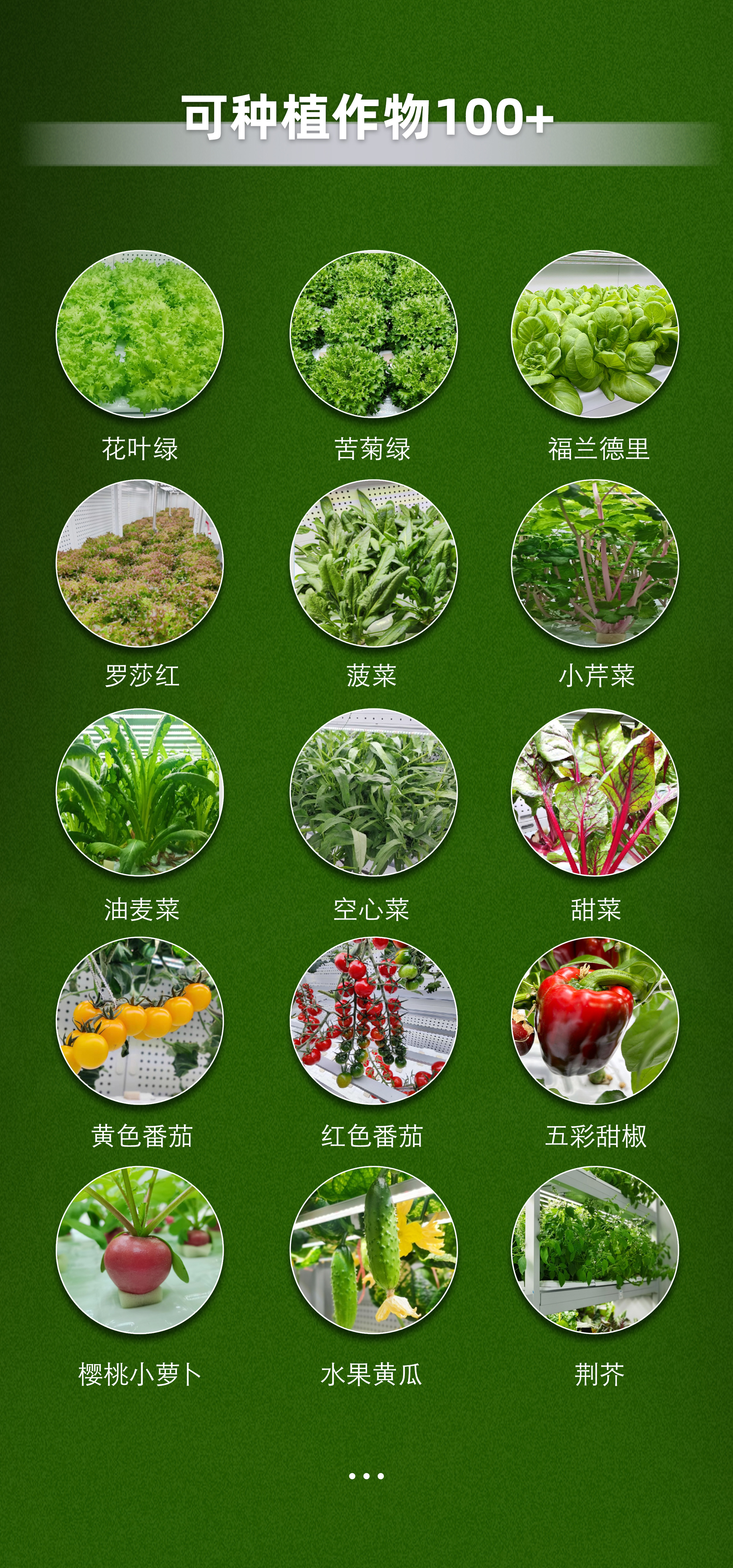 集装箱产品详情图-_04.jpg